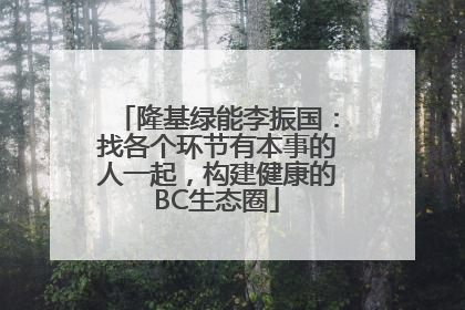 隆基绿能李振国：找各个环节有本事的人一起，构建健康的BC生态圈