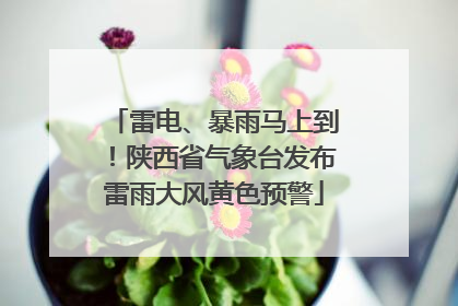 雷电、暴雨马上到！陕西省气象台发布雷雨大风黄色预警