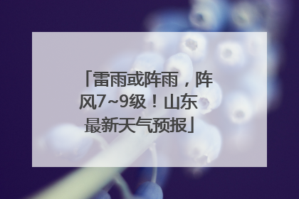 雷雨或阵雨，阵风7~9级！山东最新天气预报