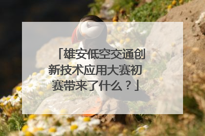 雄安低空交通创新技术应用大赛初赛带来了什么？