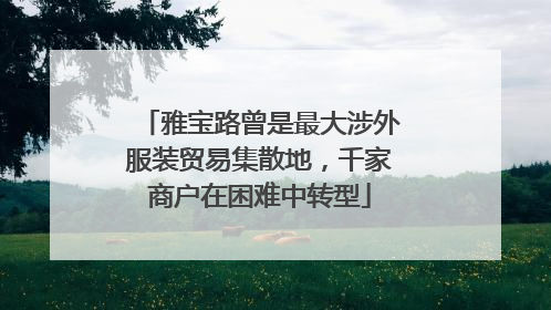 雅宝路曾是最大涉外服装贸易集散地，千家商户在困难中转型