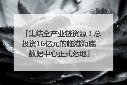 集结全产业链资源！总投资16亿元的临港海底数据中心正式落地