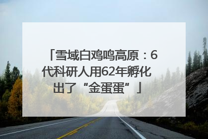 雪域白鸡鸣高原：6代科研人用62年孵化出了“金蛋蛋”