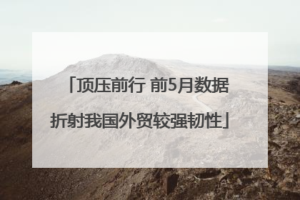 顶压前行 前5月数据折射我国外贸较强韧性