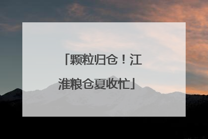 颗粒归仓！江淮粮仓夏收忙