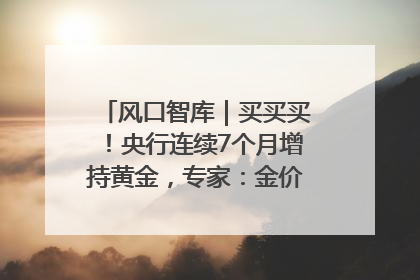 风口智库｜买买买！央行连续7个月增持黄金，专家：金价或仍易涨难跌