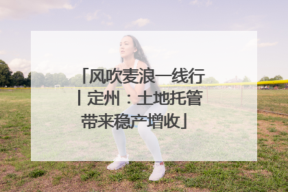 风吹麦浪一线行丨定州：土地托管带来稳产增收
