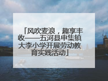 风吹麦浪，趣享丰收——五河县申集镇大李小学开展劳动教育实践活动