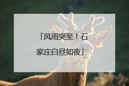 风雨突至！石家庄白昼如夜