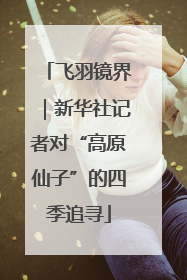 飞羽镜界｜新华社记者对“高原仙子”的四季追寻