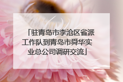 驻青岛市李沧区省派工作队到青岛市舜华实业总公司调研交流