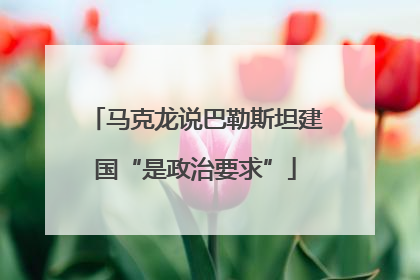 马克龙说巴勒斯坦建国“是政治要求”