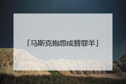 马斯克抱怨成替罪羊