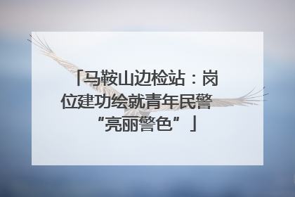 马鞍山边检站：岗位建功绘就青年民警“亮丽警色”