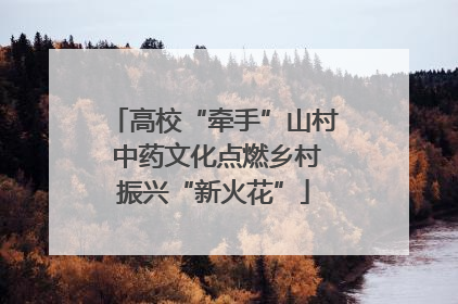高校“牵手”山村 中药文化点燃乡村振兴“新火花”