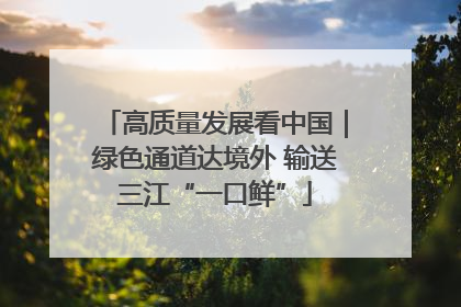 高质量发展看中国｜绿色通道达境外 输送三江“一口鲜”