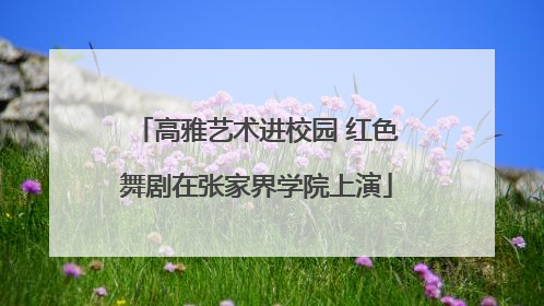 高雅艺术进校园 红色舞剧在张家界学院上演