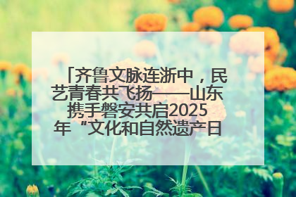 齐鲁文脉连浙中，民艺青春共飞扬——山东携手磐安共启2025年“文化和自然遗产日”系列活动