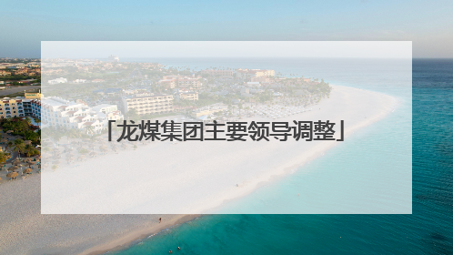 龙煤集团主要领导调整