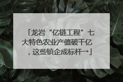 龙岩“亿链工程”七大特色农业产值破千亿，这些镇企成标杆→