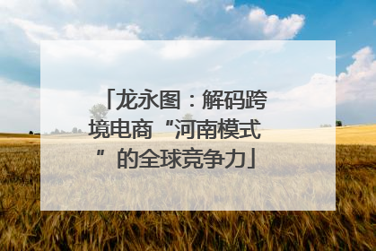 龙永图：解码跨境电商“河南模式”的全球竞争力