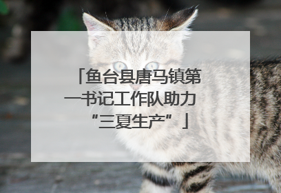 鱼台县唐马镇第一书记工作队助力“三夏生产”