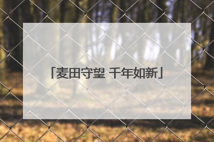 麦田守望 千年如新
