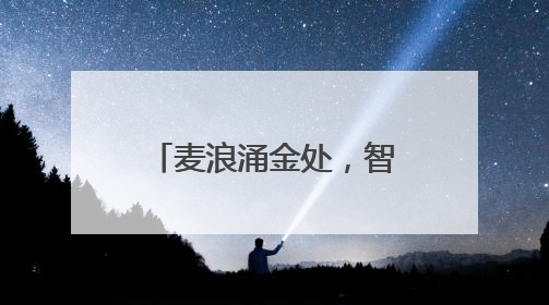 麦浪涌金处，智慧绘新篇！河南首家“小麦—玉米”周年生产无人农场喜迎丰收