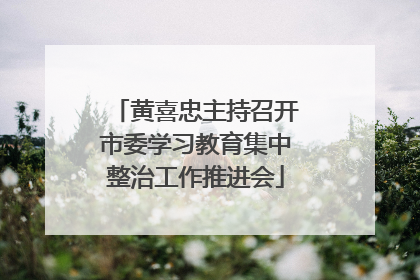 黄喜忠主持召开市委学习教育集中整治工作推进会