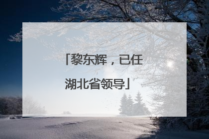 黎东辉，已任湖北省领导