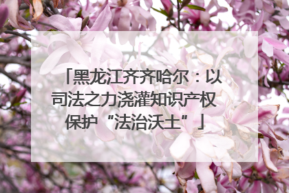 黑龙江齐齐哈尔：以司法之力浇灌知识产权保护“法治沃土”
