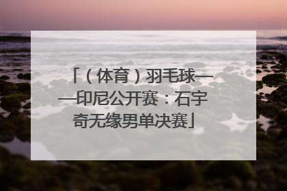 （体育）羽毛球——印尼公开赛：石宇奇无缘男单决赛
