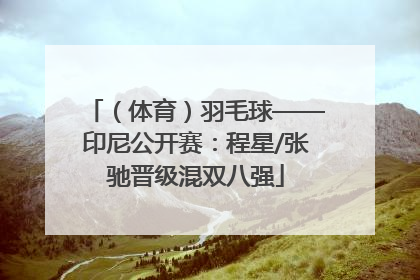 （体育）羽毛球——印尼公开赛：程星/张驰晋级混双八强