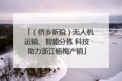 （侨乡新貌）无人机运输、智能分拣 科技助力浙江杨梅产销