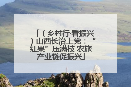 （乡村行·看振兴）山西长治上党：“红果”压满枝 农旅产业链促振兴