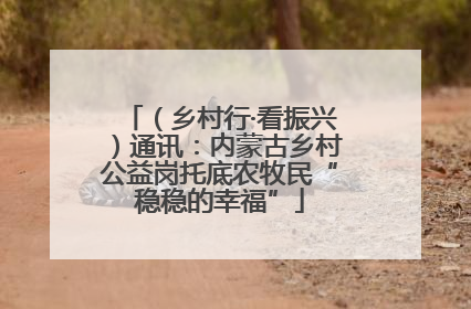 （乡村行·看振兴）通讯：内蒙古乡村公益岗托底农牧民“稳稳的幸福”