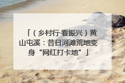 （乡村行·看振兴）黄山屯溪：昔日河滩荒地变身“网红打卡地”