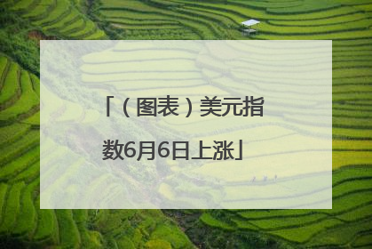 （图表）美元指数6月6日上涨