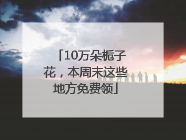 10万朵栀子花，本周末这些地方免费领