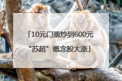 10元门票炒到600元 “苏超”概念股大涨
