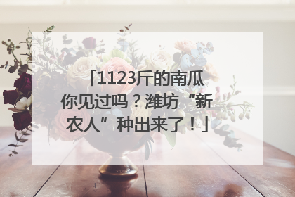 1123斤的南瓜你见过吗？潍坊“新农人”种出来了！