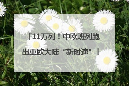11万列！中欧班列跑出亚欧大陆“新时速”