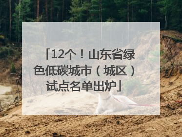12个！山东省绿色低碳城市（城区）试点名单出炉
