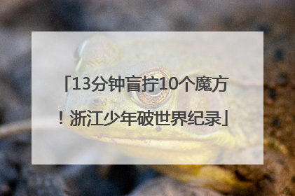 13分钟盲拧10个魔方！浙江少年破世界纪录