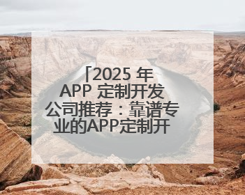 2025 年 APP 定制开发公司推荐：靠谱专业的APP定制开发公司