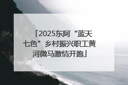 2025东阿“蓝天七色”乡村振兴职工黄河微马激情开跑