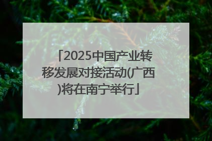 2025中国产业转移发展对接活动(广西)将在南宁举行