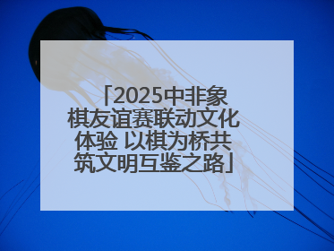 2025中非象棋友谊赛联动文化体验 以棋为桥共筑文明互鉴之路