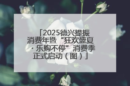 2025德兴提振消费年暨“狂欢盛夏・乐购不停”消费季正式启动（图）