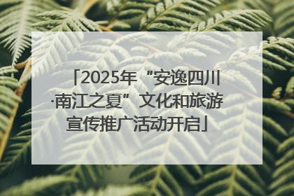 2025年“安逸四川·南江之夏”文化和旅游宣传推广活动开启